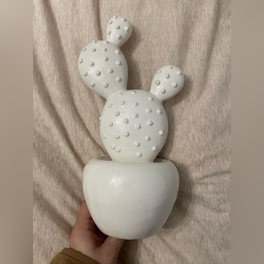 Cactus Decor